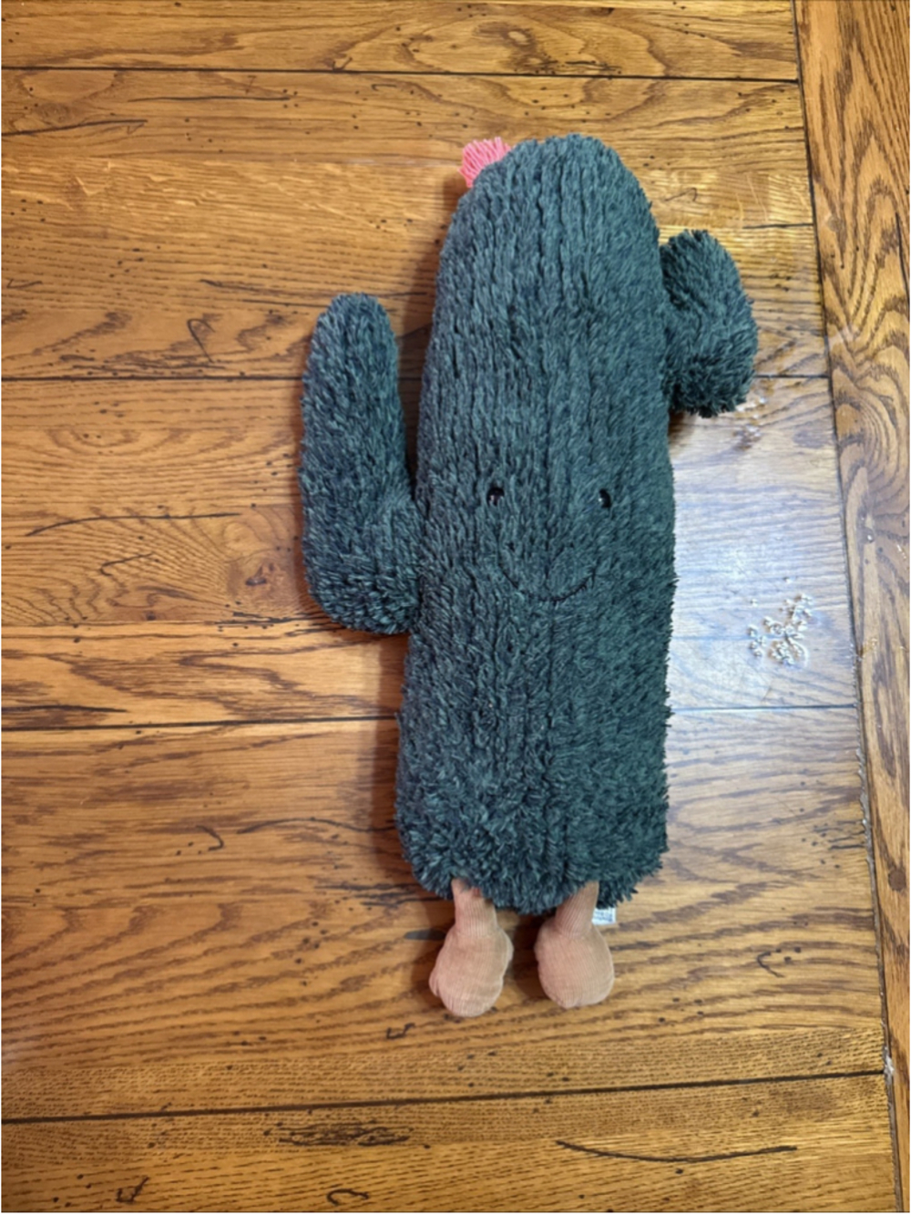 Jellycat Amuseables Desert Cactus Plush Succulent Dark Green Pink Flower 16"